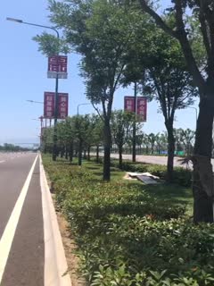 真够拼得超萌高颜值学生妹39℃高温下直接露脸脱光光在马路上跳舞